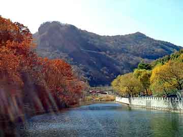 大三巴一肖二码最准，纵横都市